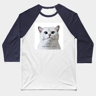 FUNNY CATS Baseball T-Shirt